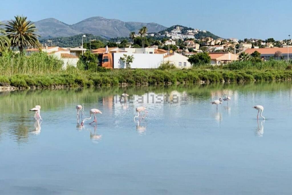 Tu Hogar En Calpe A 30 Metros De La Playa!!!公寓 外观 照片